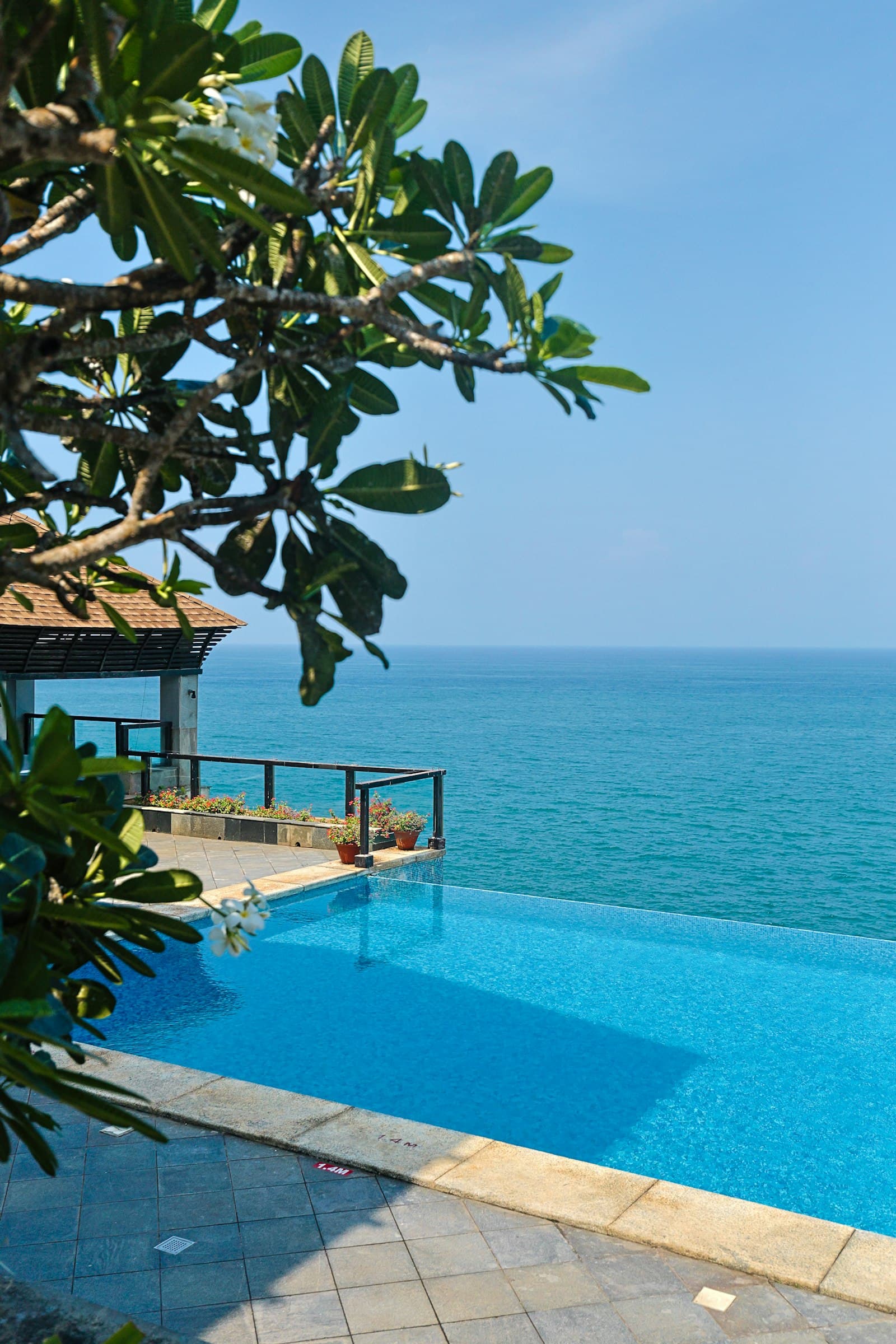 Infinity pool pavilion framed by a frangipani tree, overlooking the sea